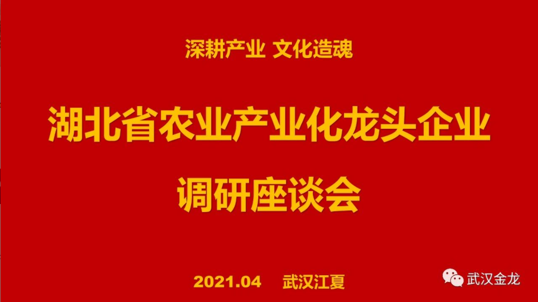 省農(nóng)業(yè)產(chǎn)業(yè)化龍頭企業(yè)調(diào)研座談會(huì)在武漢金龍集團(tuán)會(huì)議室順利召開